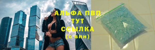 тгк Касимов