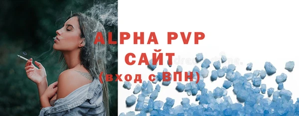 трава Карпинск