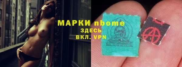 трава Карпинск