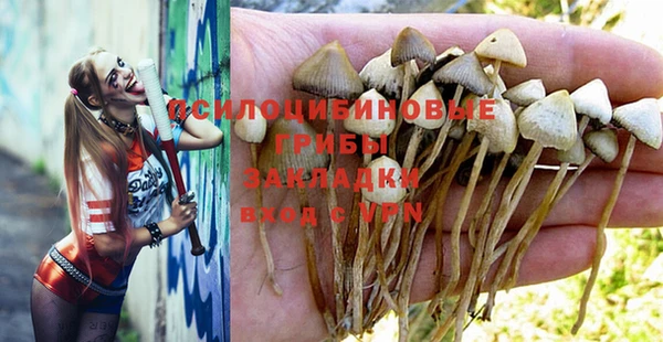 трава Карпинск