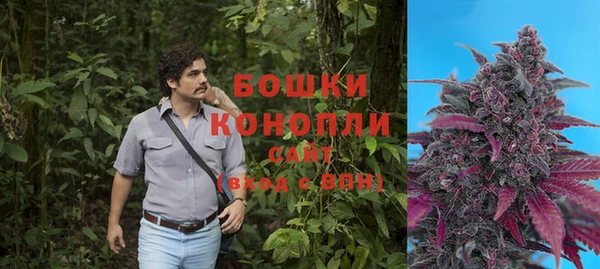 тгк Касимов
