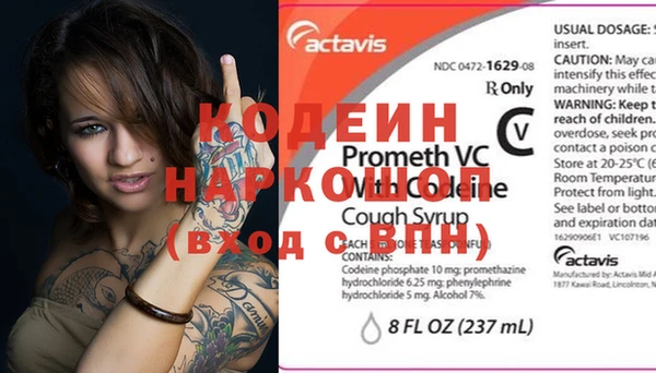 трава Карпинск