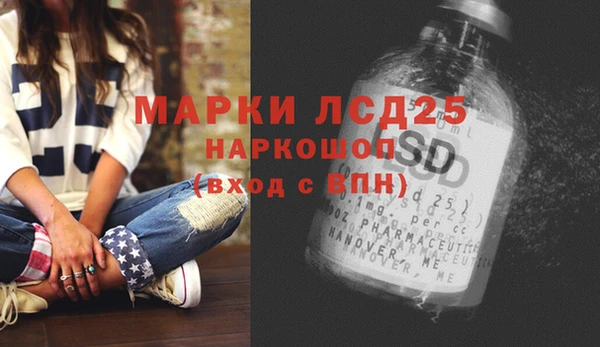 трава Карпинск