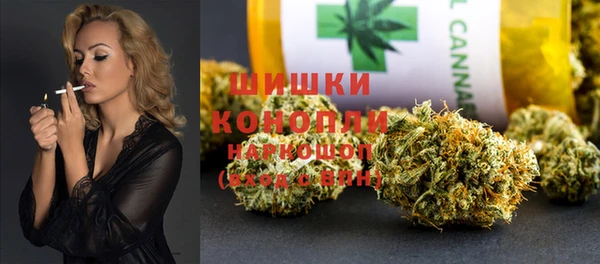 тгк Касимов