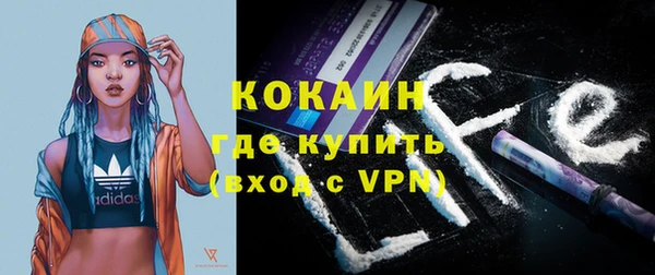 тгк Касимов