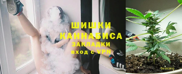 тгк Касимов