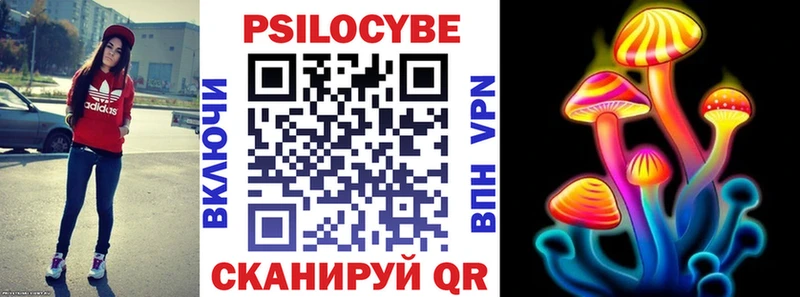 Купить  Покровск  Галлюциногенные грибы Psilocybe 
